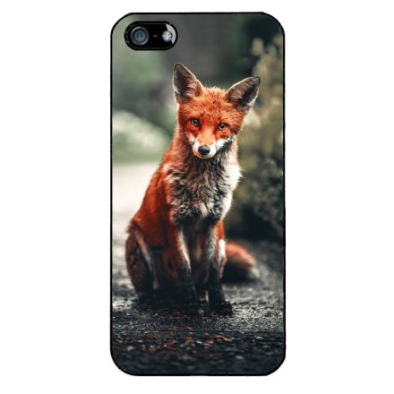 Autumn Fox őszi róka iPhone 5-5s-SE (2016) tok