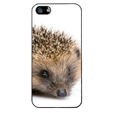 Cukis süni sündisznós őszi iPhone 5-5s-SE (2016) tok