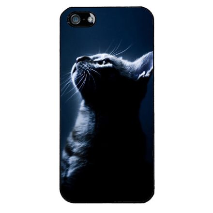 Álmodj nagyot cicás iPhone 5-5s-SE (2016) tok