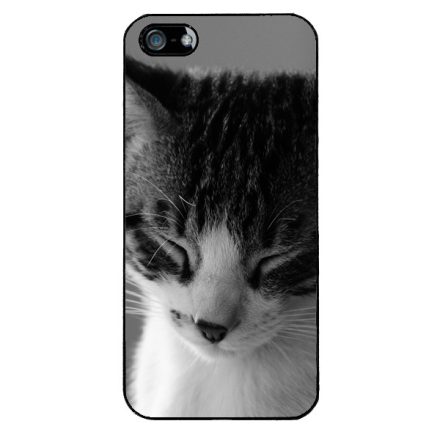 Tüneményes Cica iPhone 5-5s-SE (2016) tok