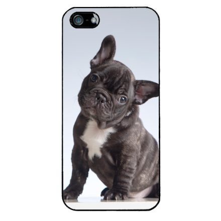 Tündéri Francia bulldog iPhone 5-5s-SE (2016) tok
