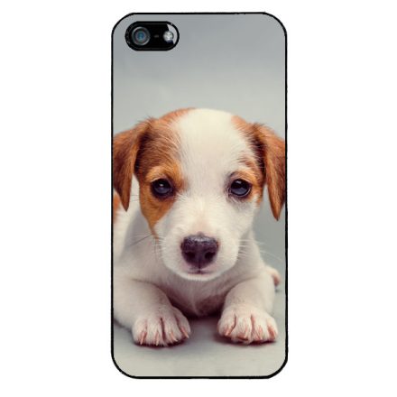Angyali Jack Russel Terrier kis kutya iPhone 5-5s-SE (2016) tok