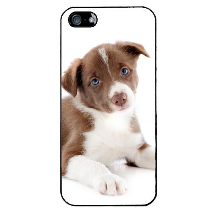 Édes Border Collie kölyök kutyus iPhone 5-5s-SE (2016) tok