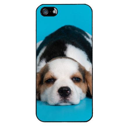 Szundizzunk egyet - Beagle iPhone 5-5s-SE (2016) tok
