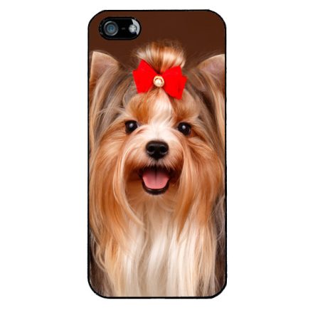 A legszebb Yorkshire Terrier iPhone 5-5s-SE (2016) tok