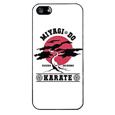 Miyagi Do Karate iPhone 5-5s-SE (2016) tok