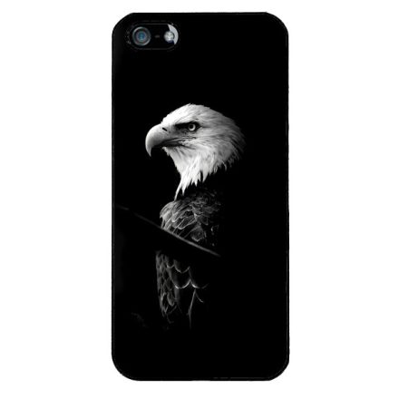 Sas iPhone 5-5s-SE (2016) tok
