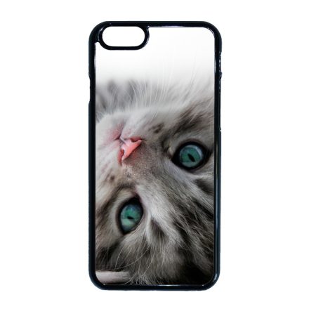 cica cicás macskás iPhone 6-6s tok