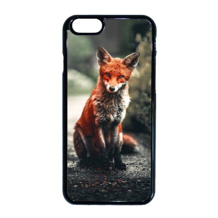 Autumn Fox őszi róka iPhone 6-6s tok