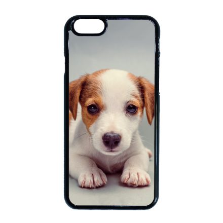 Angyali Jack Russel Terrier kis kutya iPhone 6-6s tok