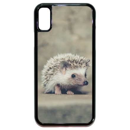 süni sünis iPhone X/Xs tok
