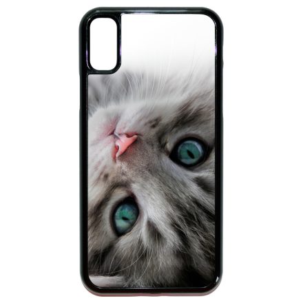 cica cicás macskás iPhone X/Xs tok