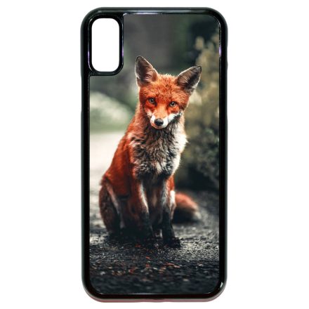Autumn Fox őszi róka iPhone X/Xs tok