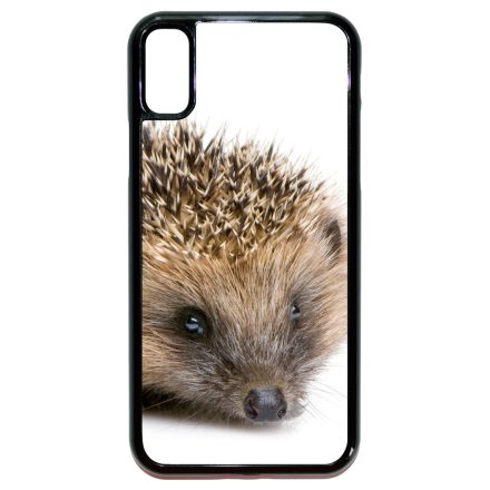 Cukis süni sündisznós őszi iPhone X/Xs tok