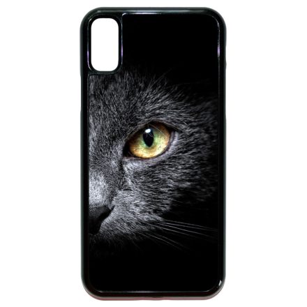 Csak a szemembe nézz - Cica iPhone X/Xs tok