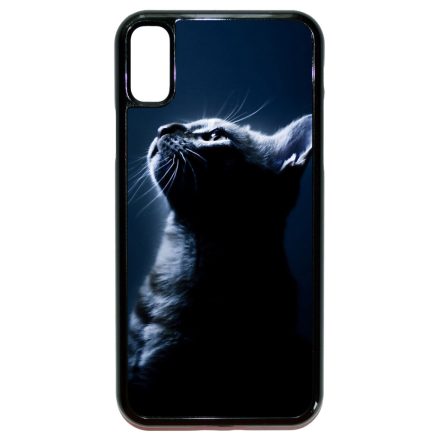 Álmodj nagyot cicás iPhone X/Xs tok