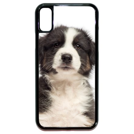 A legédesebb ausztrál juhász kis kutya iPhone X/Xs tok