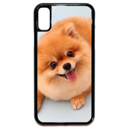 Pomerániai spitz - Akarsz játszani iPhone X/Xs tok