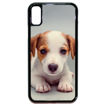 Angyali Jack Russel Terrier kis kutya iPhone X/Xs tok