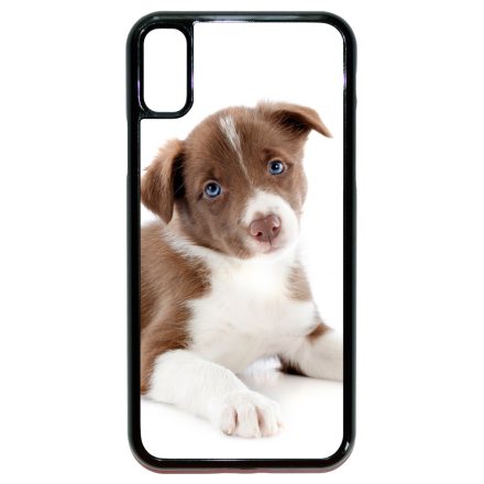 Édes Border Collie kölyök kutyus iPhone X/Xs tok