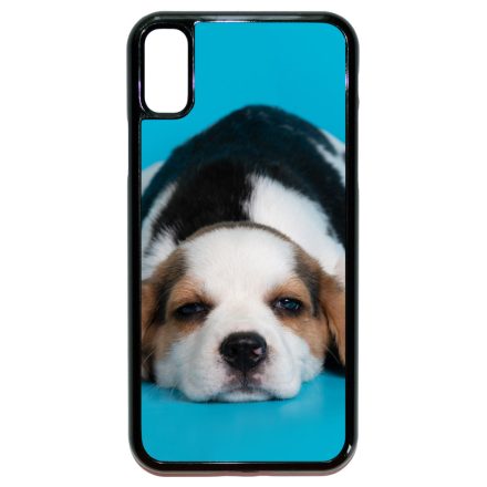 Szundizzunk egyet - Beagle iPhone X/Xs tok