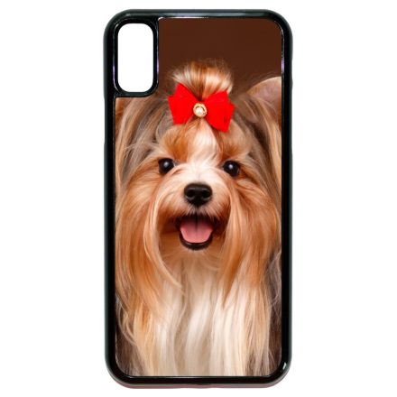 A legszebb Yorkshire Terrier iPhone X/Xs tok