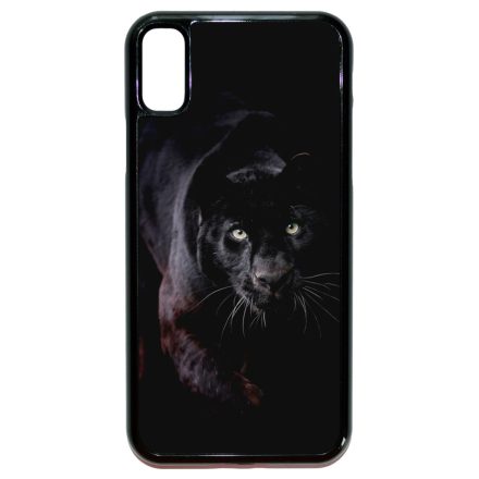 Black Panther Fekete Parduc Wild Beauty Csajos iPhone X/Xs tok