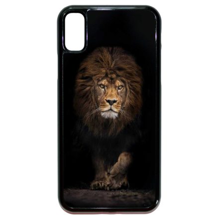 Oroszlankiraly Lion King Wild Beauty Csajos iPhone X/Xs tok