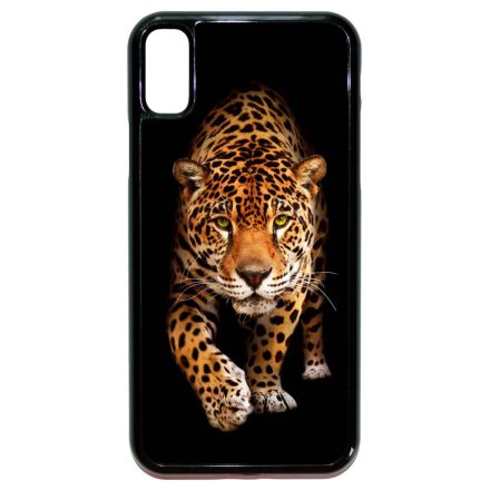 Wild Beauty Jaguar Wild Beauty Csajos Allat mintas iPhone X/Xs tok