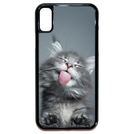 Miss Lefety Cica iPhone X/Xs tok