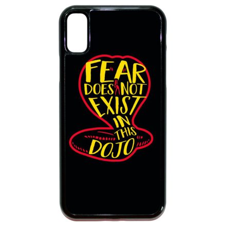 No Fear in Dojo - Cobra Kai iPhone X/Xs tok