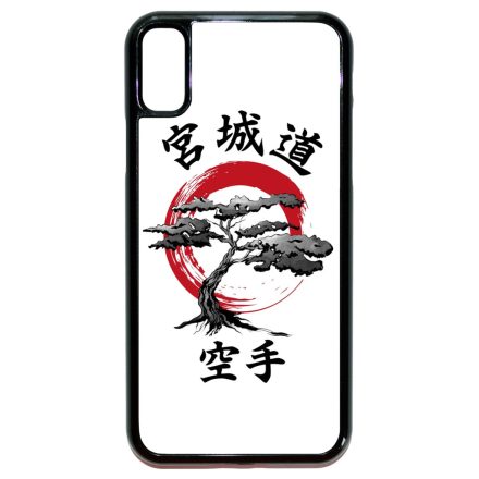 Classic Miyagi Do iPhone X/Xs tok