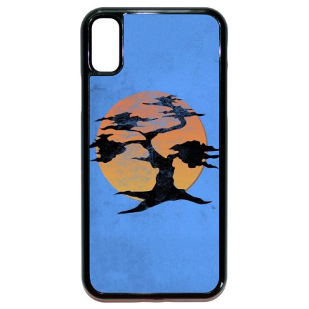 Grunge Miyagi Do iPhone X/Xs tok
