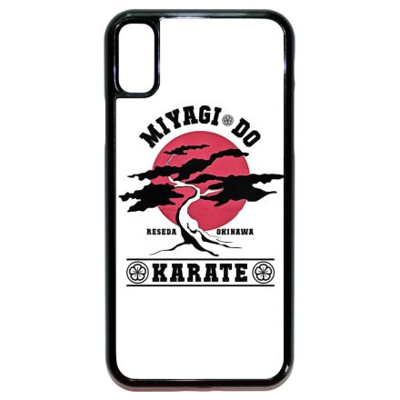 Miyagi Do Karate iPhone X/Xs tok
