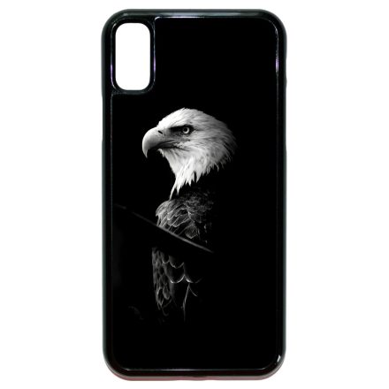 Sas iPhone X/Xs tok