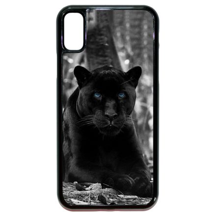 Fekete puma iPhone X/Xs tok