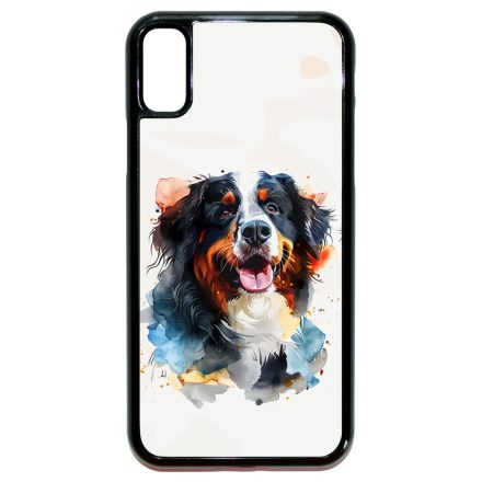 Bernáthegyi iPhone X/Xs tok