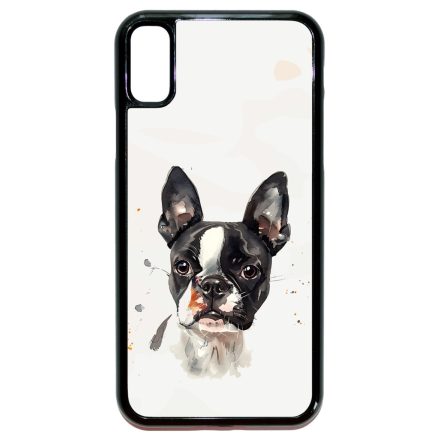 Boston Terrier 2 iPhone X/Xs tok