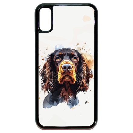 Boykin Spaniel iPhone X/Xs tok