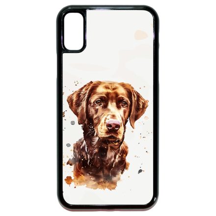 Göndörszőrű retriever iPhone X/Xs tok