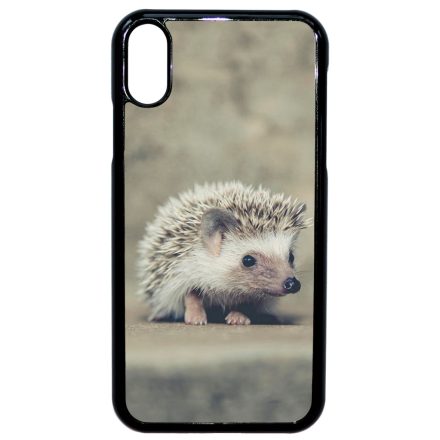 süni sünis iPhone Xr tok