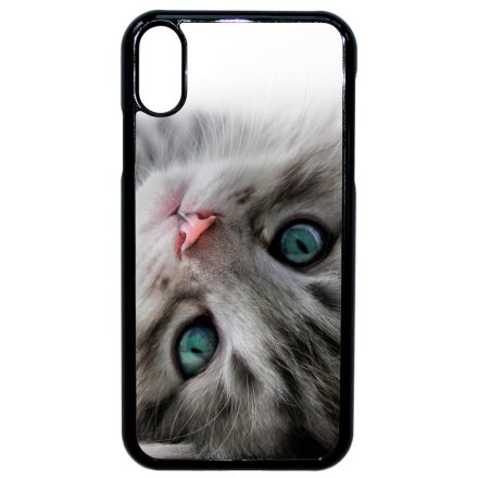 cica cicás macskás iPhone Xr tok