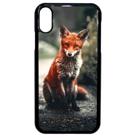 Autumn Fox őszi róka iPhone Xr tok