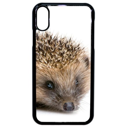 Cukis süni sündisznós őszi iPhone Xr tok
