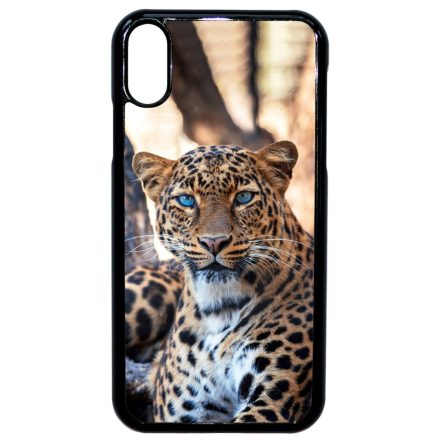 Gepárd iPhone Xr tok