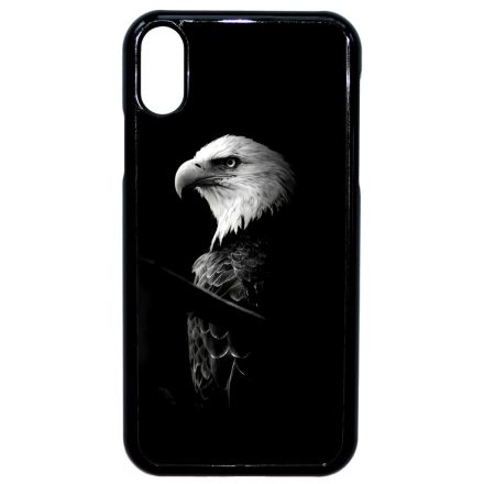 Sas iPhone Xr tok