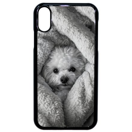 Bolognese iPhone Xr tok
