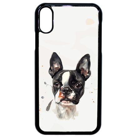 Boston Terrier 2 iPhone Xr tok