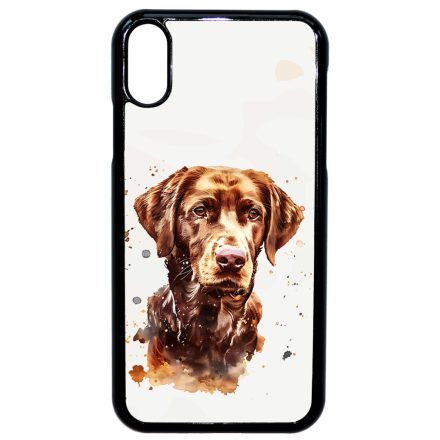 Göndörszőrű retriever iPhone Xr tok