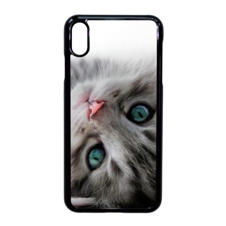 cica cicás macskás iPhone Xs Max tok